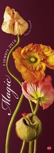 Cover: Magic Flowers Vertical 2016 - Heye