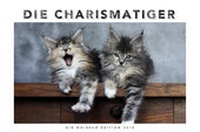 Bild vergrößern Bild: Whiskas Katzenkalender 2016 - Heye