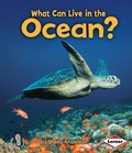 Cover: What Can Live in the Ocean? - Lerner Publishing Group