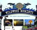 Cover: Wildwood Moments - Schiffer Publishing Ltd