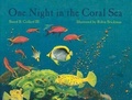 Cover: One Night in the Coral Sea - Perfection Learning