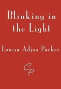 Cover: Blinking in the Light - Cinnamon Press