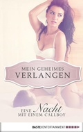 Cover: Eine Nacht mit einem Callboy - Mein geheimes Verlangen - Bastei L&uuml;bbe