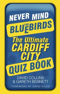 Abbildung von: Never Mind the Bluebirds - The History Press Ltd