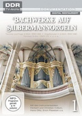 Cover: Bachwerke auf Silbermann-Orgeln - Studio Hamburg