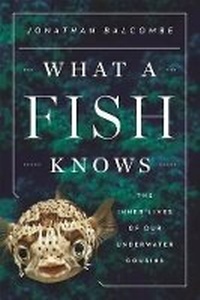 Abbildung von: What a Fish Knows - Scientific American