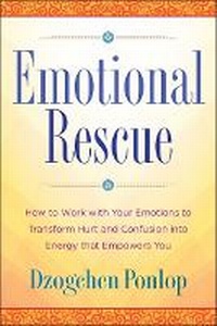 Enlarge image Cover: Emotional Rescue - Tarcherperigee