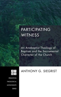 Enlarge image Cover: Participating Witness - Wipf & Stock Publishers