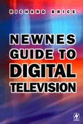 Cover: Newnes Guide to Digital Television - Newnes