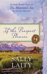 Enlarge image Cover: If the Prospect Pleases - Barbour Publishing