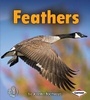 Cover: Feathers - Lerner Publications (Tm)