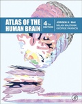 Cover: Atlas of the Human Brain - Academic Press