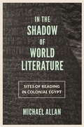 Cover: In the Shadow of World Literature - Princeton University Press