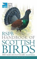 Cover: RSPB Handbook of Scottish Birds - Bloomsbury Natural History