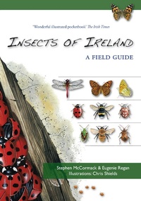 Enlarge image Cover: Insects of Ireland - The Collins Press
