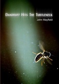 Cover: Dandruff Hits the Turtleneck - Lulu Press Inc