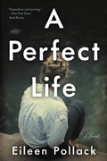 Cover: A Perfect Life - Ecco