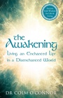 Cover: The Awakening - Gill Books