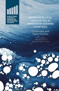 Cover: Entrepreneurial Universities in Innovation-Seeking Countries - Palgrave MacMillan