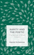 Cover: Rarity and the Poetic - Palgrave Pivot