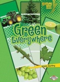 Cover: Green Everywhere - Lerner Publishing Group