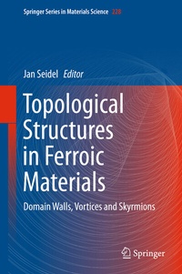 Abbildung von: Topological Structures in Ferroic Materials - Springer