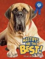 Cover: Mastiffs Are the Best! - Lerner Publishing Group