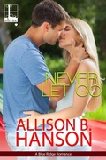 Cover: Never Let Go - Lyrical Shine