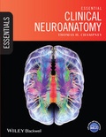 Bild: Essential Clinical Neuroanatomy - Wiley-Blackwell