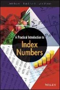 Enlarge image Cover: A Practical Introduction to Index Numbers - Wiley