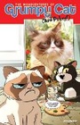 Cover: Grumpy Cat: Misadventures - Dynamic Forces Inc