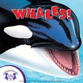 Cover: Know-It-Alls! Whales - Twin Sisters IP
