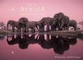 Cover: Into Africa Wildlife: Blank Boxed Notecards - Earth Aware Editions