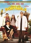 Cover: Niyazi G&uuml;l D&ouml;rtnala DVD - Bkm Film