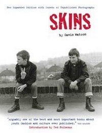 Enlarge image Cover: Skins - Music Press Books