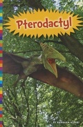 Cover: Pterodactyl - Amicus High Interest