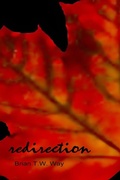 Cover: Redirection - Hidden Brook Press