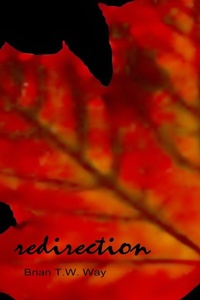 Enlarge image Cover: Redirection - Hidden Brook Press