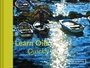 Cover: Learn Oils Quickly - Batsford