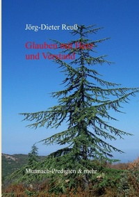 Bild vergrößern Bild: Glauben mit Herz und Verstand - Books on Demand