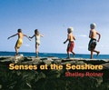 Cover: Senses at the Seashore - Lerner Publishing Group