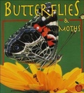 Cover: Butterflies and Moths - Perfection Learning