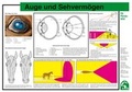 Cover: Auge und Sehverm&ouml;gen - FN Verlag