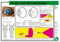 Abbildung von: Auge und Sehvermögen - FN Verlag