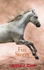 Cover: Fire Storm - Freies Geistesleben