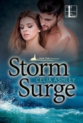 Cover: Storm Surge - Lyrical Press
