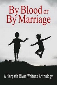 Enlarge image Cover: By Blood or by Marriage - Western Trail Blazer