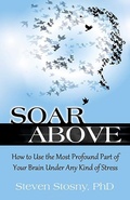 Cover: Soar Above - Health Communications
