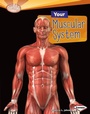 Cover: Your Muscular System - Lerner Publishing Group