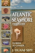 Cover: Atlantic Seashore Field Guide - Stackpole Books